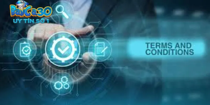 Điều khoản điều kiện phục vụ cho hội viên an tâm tin tưởng