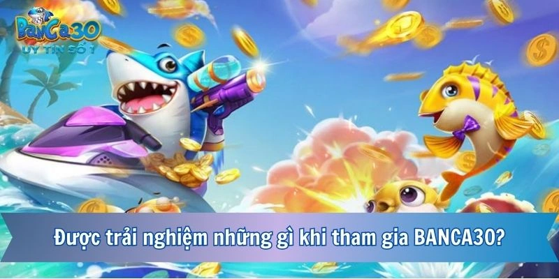 Được trải nghiệm những gì khi tham gia BANCA30?