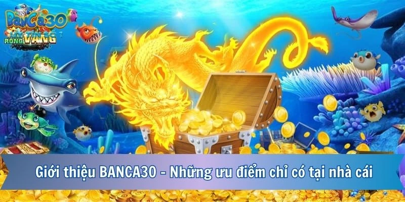 Giới thiệu những ưu đãi độc quyền chỉ có tại BANCA30
