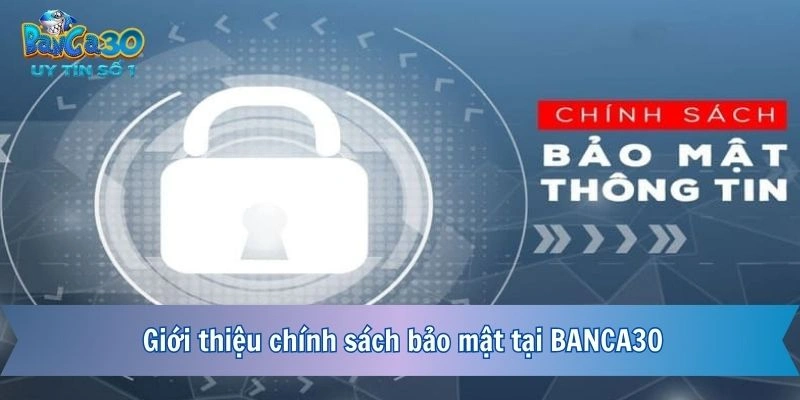 Giới thiệu chính sách bảo mật tại BANCA30