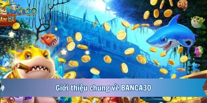 Giới thiệu chung về BANCA30