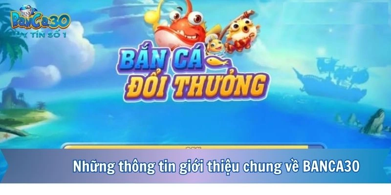 Những thông tin giới thiệu chung về BANCA30